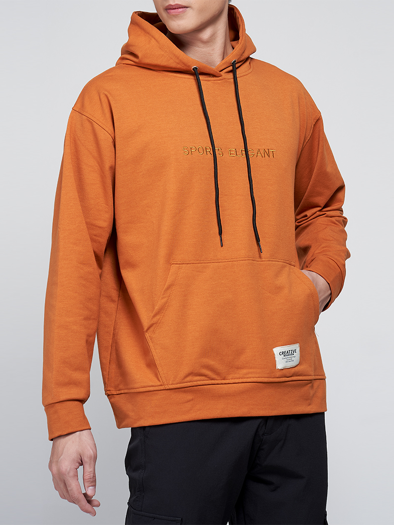 Áo Hoodie Sports Elegant AK011 Màu Bò